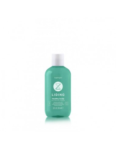 Liding - Kõõmavastane šampoon kiiviga 250ml