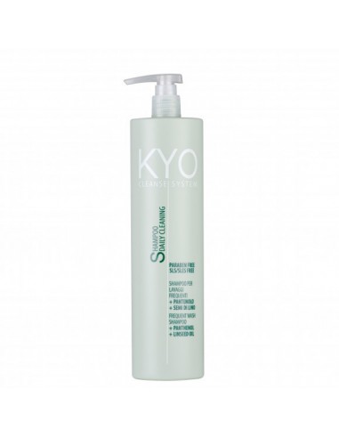 KYO DAILY SHAMPOO - Šampoon pantenooli ja linaseemneõliga 500 ml
